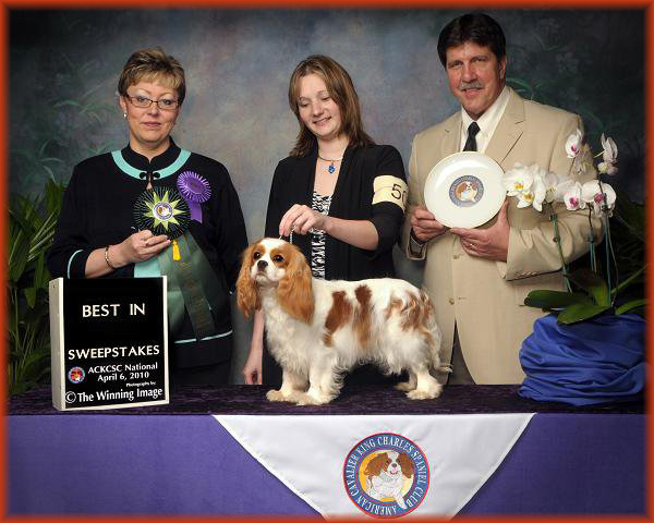 Sheeba Out N About winning Best In Sweeps ACKCS Nationals 2010